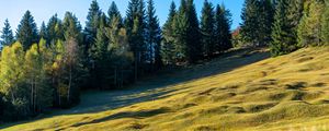 Preview wallpaper meadow, trees, landscape, nature, grass