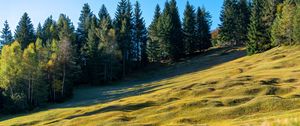 Preview wallpaper meadow, trees, landscape, nature, grass