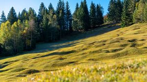 Preview wallpaper meadow, trees, landscape, nature, grass