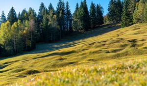 Preview wallpaper meadow, trees, landscape, nature, grass