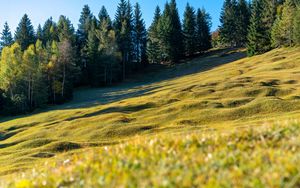 Preview wallpaper meadow, trees, landscape, nature, grass