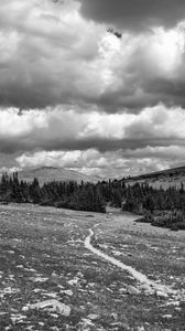 Preview wallpaper meadow, trees, path, bw, nature