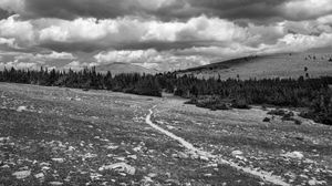 Preview wallpaper meadow, trees, path, bw, nature