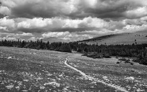 Preview wallpaper meadow, trees, path, bw, nature