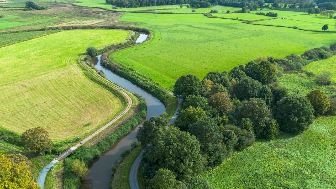 Wallpaper meadow, trees, river, landscape, nature