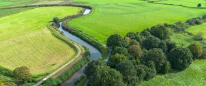 Preview wallpaper meadow, trees, river, landscape, nature