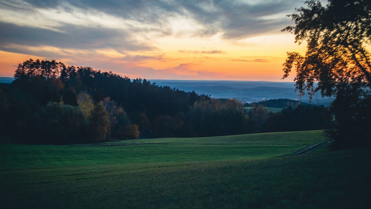 Wallpaper meadow, trees, sunset, landscape, nature