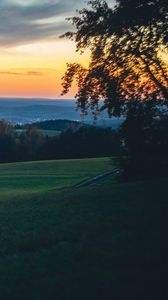 Preview wallpaper meadow, trees, sunset, landscape, nature