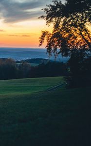 Preview wallpaper meadow, trees, sunset, landscape, nature