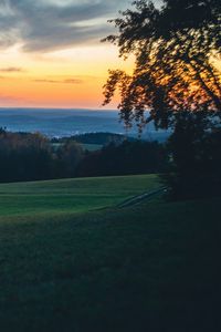 Preview wallpaper meadow, trees, sunset, landscape, nature