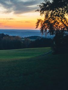 Preview wallpaper meadow, trees, sunset, landscape, nature