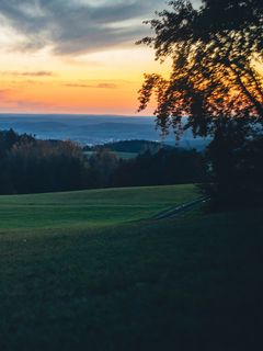 240x320 Wallpaper meadow, trees, sunset, landscape, nature