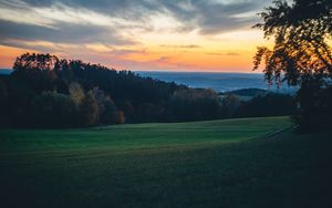 Preview wallpaper meadow, trees, sunset, landscape, nature