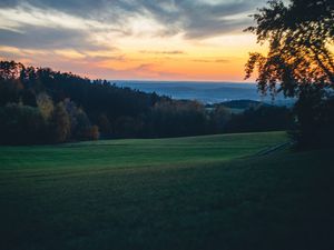 Preview wallpaper meadow, trees, sunset, landscape, nature