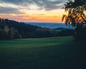 Preview wallpaper meadow, trees, sunset, landscape, nature