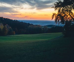 Preview wallpaper meadow, trees, sunset, landscape, nature