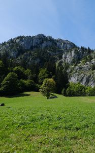 Preview wallpaper meadow, valley, grass, trees, mountains, landscape