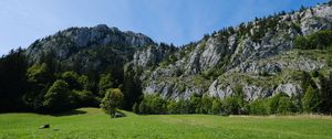 Preview wallpaper meadow, valley, grass, trees, mountains, landscape