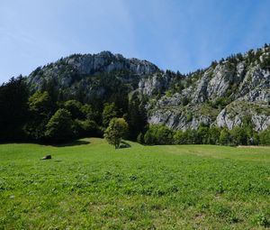 Preview wallpaper meadow, valley, grass, trees, mountains, landscape