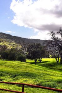 Preview wallpaper meadows, plain, fence, green, trees, clouds, mountains, valley, gray