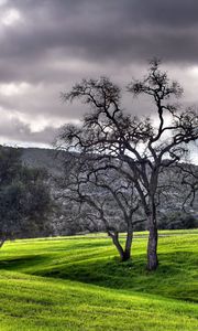 Preview wallpaper meadows, trees, plain, clouds, gray, green, mountains