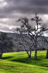 Preview wallpaper meadows, trees, plain, clouds, gray, green, mountains