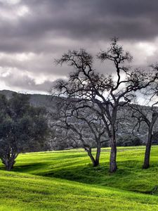 Preview wallpaper meadows, trees, plain, clouds, gray, green, mountains