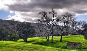 Preview wallpaper meadows, trees, plain, clouds, gray, green, mountains