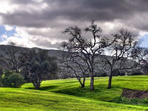 Preview wallpaper meadows, trees, plain, clouds, gray, green, mountains