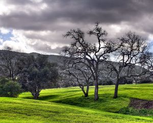 Preview wallpaper meadows, trees, plain, clouds, gray, green, mountains