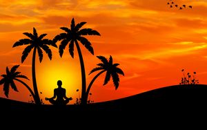 Preview wallpaper meditation, yoga, silhouette, palm trees, harmony