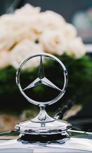 Preview wallpaper mercedes, badge, flowers, bouquet