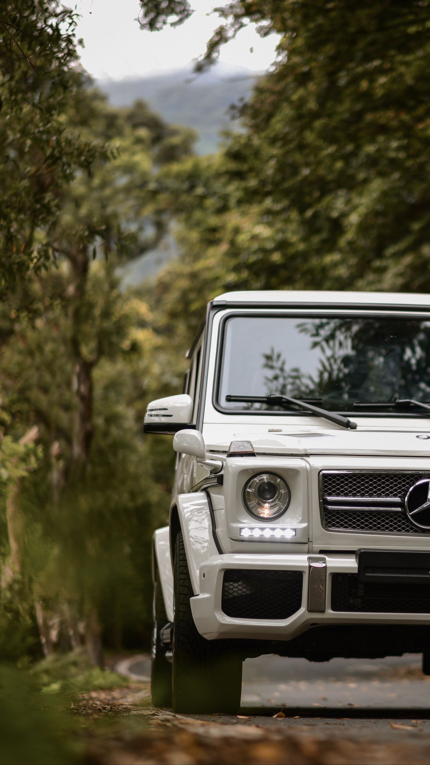 Download wallpaper 1440x2560 mercedes-benz g-class, mercedes gelandewagen,  mercedes, suv, gray, front view qhd samsung galaxy s6, s7, edge, note, lg  g4 hd background