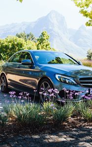 Preview wallpaper mercedes-benz, mercedes, car, flowers