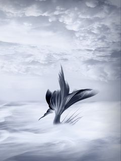 Download wallpaper 240x320 mermaid, tail, art, clouds old mobile, cell phone,  smartphone hd background