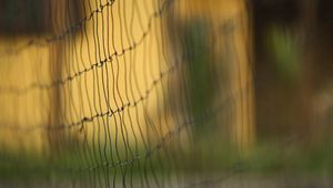 Preview wallpaper mesh, blur, macro, background