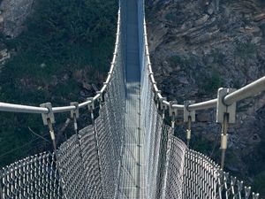 Preview wallpaper mesh bridge, fences, mountain, plants