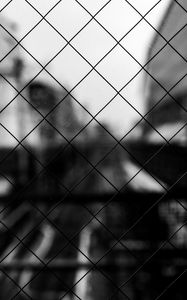 Preview wallpaper mesh, cells, bw, blur