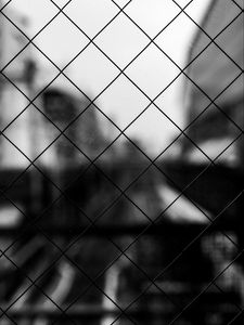 Preview wallpaper mesh, cells, bw, blur