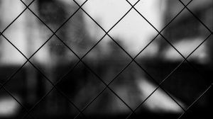 Preview wallpaper mesh, cells, bw, blur