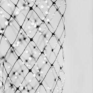 Preview wallpaper mesh, dew, drops, macro