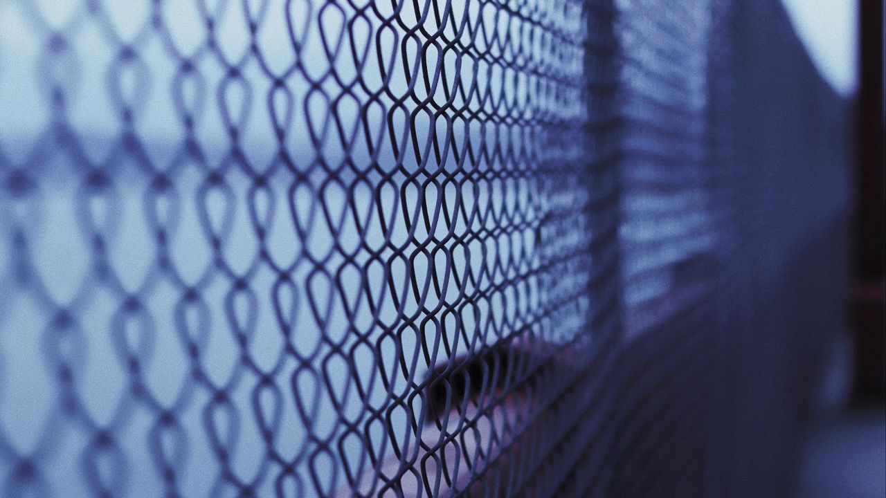 Wallpaper mesh, fence, fencing, metal, cells