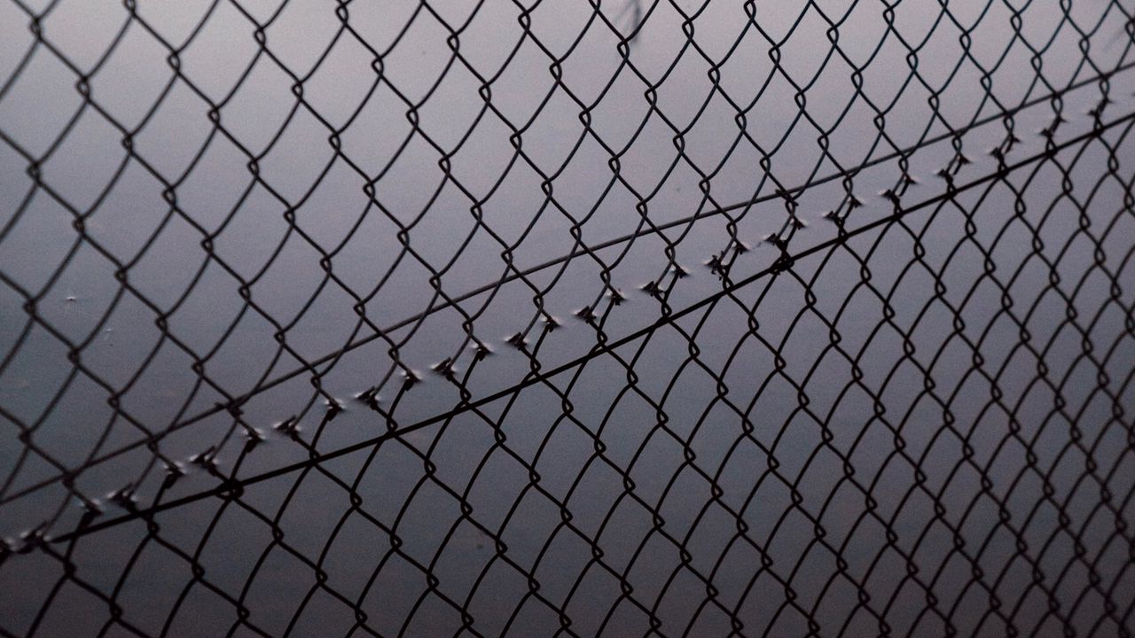 Wallpaper mesh, fence, fog, bw