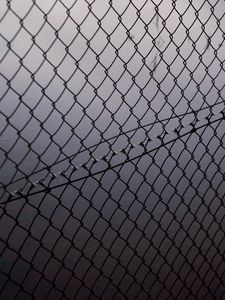 Preview wallpaper mesh, fence, fog, bw