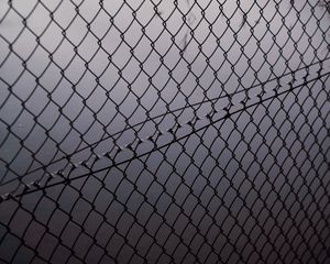 Preview wallpaper mesh, fence, fog, bw