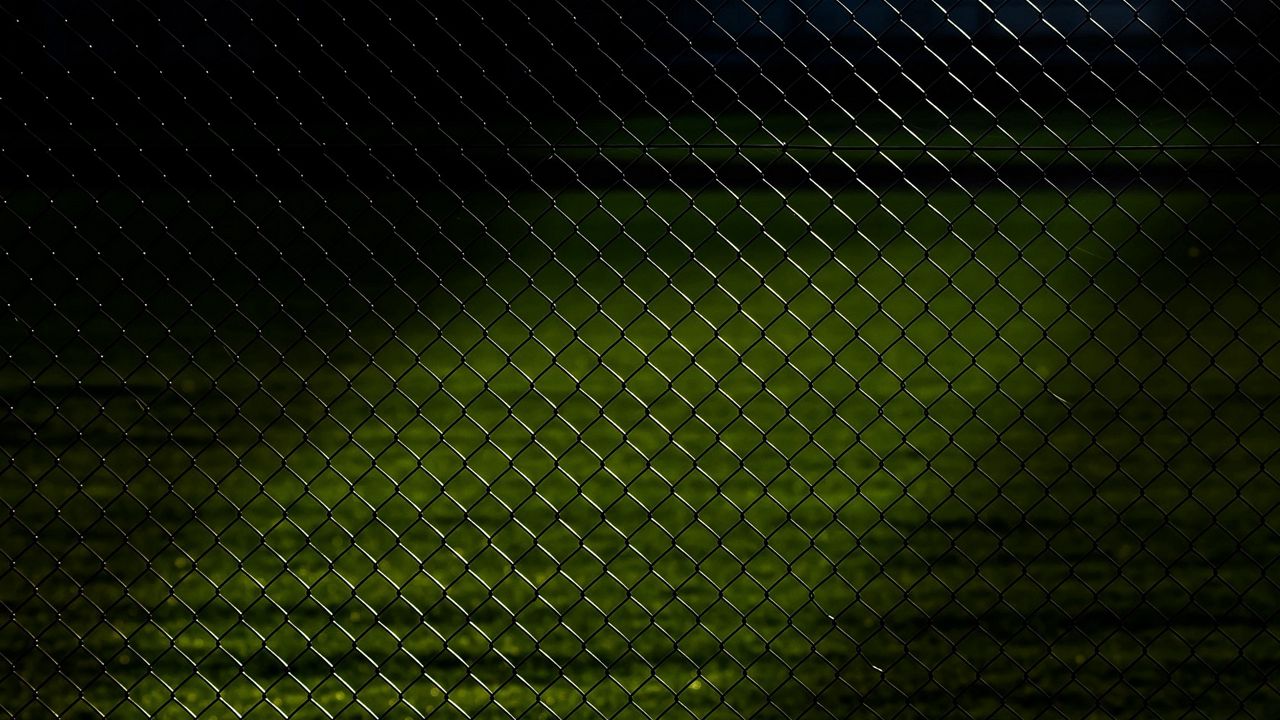 Wallpaper mesh, fence, grass, dark, texture
