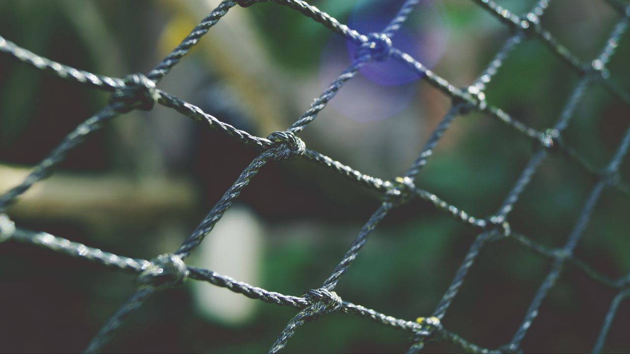 Wallpaper mesh, fence, weaving