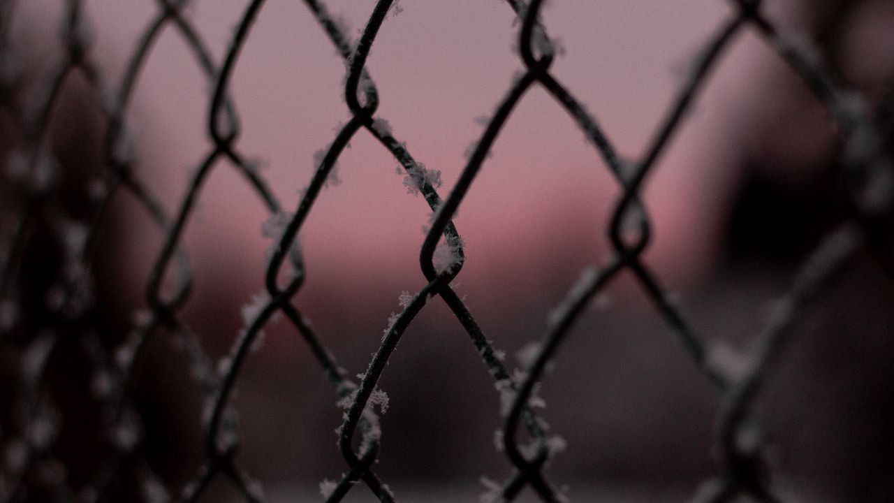 Wallpaper mesh, frost, macro