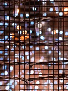 Preview wallpaper mesh, garland, lights, glare