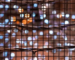 Preview wallpaper mesh, garland, lights, glare